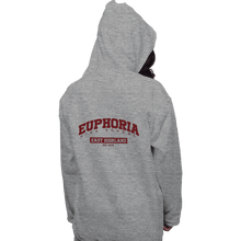 Load image into Gallery viewer, Secret_Shirts Pullover Hoodies, Unisex / Small / Sports Grey Euphoria High School
