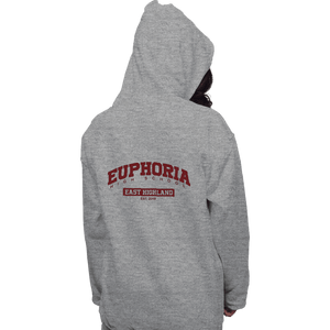 Secret_Shirts Pullover Hoodies, Unisex / Small / Sports Grey Euphoria High School