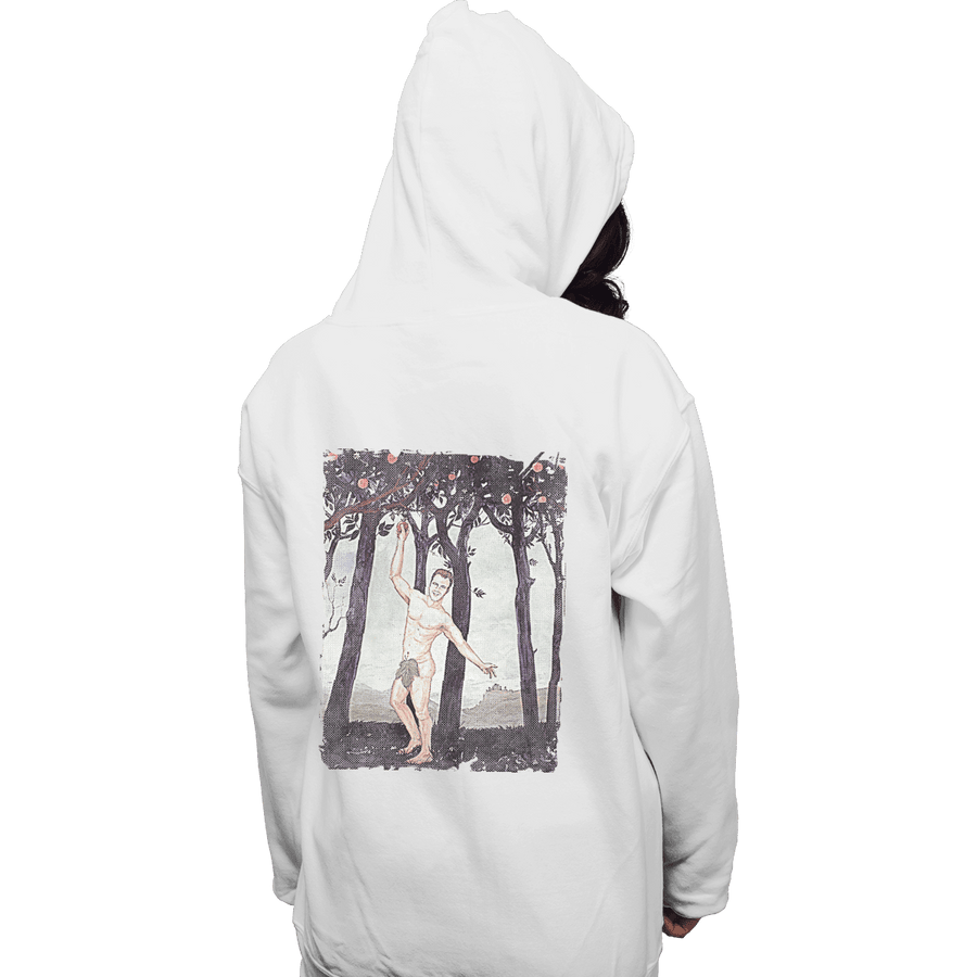 Shirts Pullover Hoodies, Unisex / Small / White Celebration