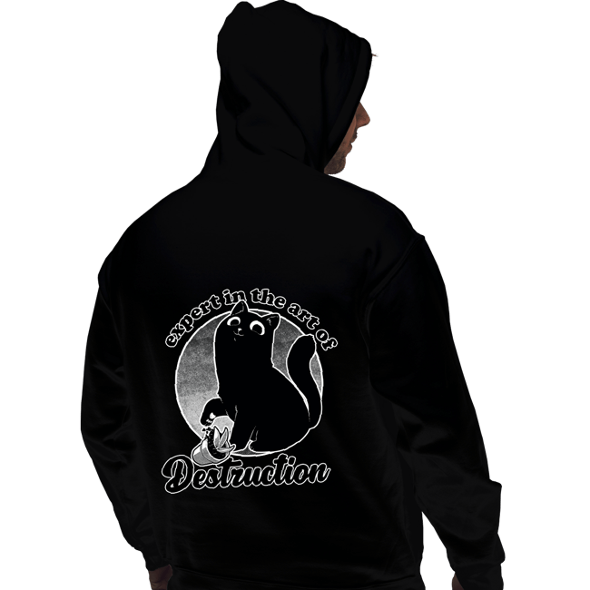 Secret_Shirts Pullover Hoodies, Unisex / Small / Black Expert In Destruction