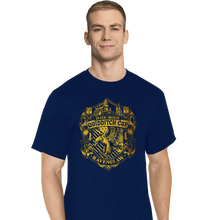 Load image into Gallery viewer, Sold_Out_Shirts T-Shirts, Tall / Large / Navy Team Ravenclaw
