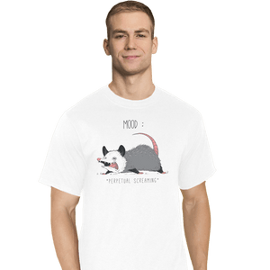 Secret_Shirts T-Shirts, Tall / Large / White Mood Possum Secret Sale