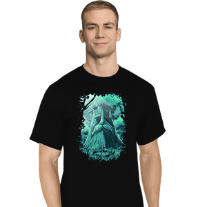 Daily_Deal_Shirts T-Shirts, Tall / Large / Black Hyrule Forest Hero