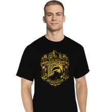 Load image into Gallery viewer, Sold_Out_Shirts T-Shirts, Tall / Large / Black Team Hufflepuff
