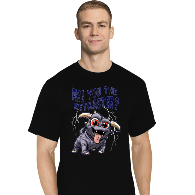 Daily_Deal_Shirts T-Shirts, Tall / Large / Black Are You The Keymaster?