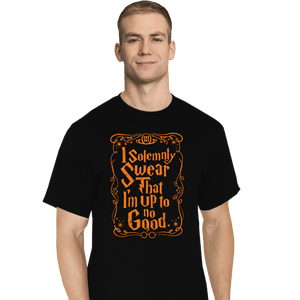 Secret_Shirts T-Shirts, Tall / Large / Black Solemnly Swear