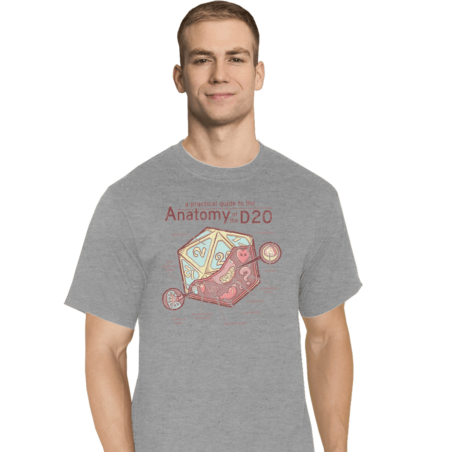 Shirts T-Shirts, Tall / Large / Sports Grey Anatomy Of The D20