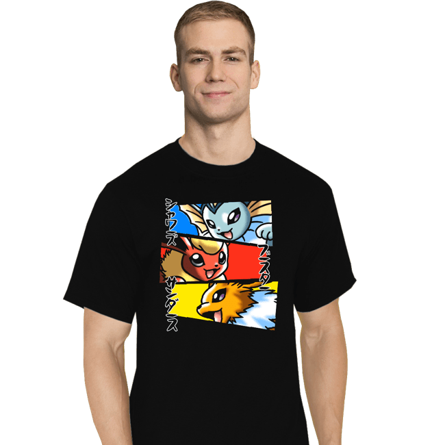 Shirts T-Shirts, Tall / Large / Black Evolutions