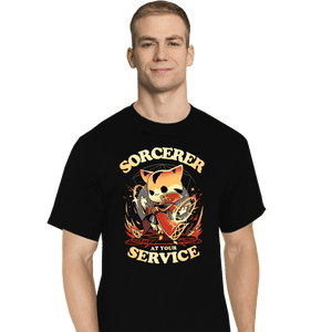 Daily_Deal_Shirts T-Shirts, Tall / Large / Black Sorcerer's Call