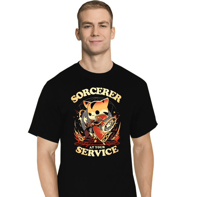 Daily_Deal_Shirts T-Shirts, Tall / Large / Black Sorcerer's Call