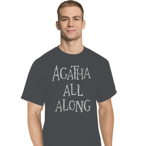 Secret_Shirts T-Shirts, Tall / Large / Charcoal Agatha All Along Grey Shirt