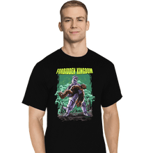 Load image into Gallery viewer, Secret_Shirts T-Shirts, Tall / Large / Black Forbidden Kingdom
