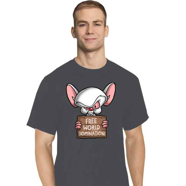 Daily_Deal_Shirts T-Shirts, Tall / Large / Charcoal Free World Domination