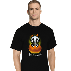 Daily_Deal_Shirts T-Shirts, Tall / Large / Black Schrodinger Halloween