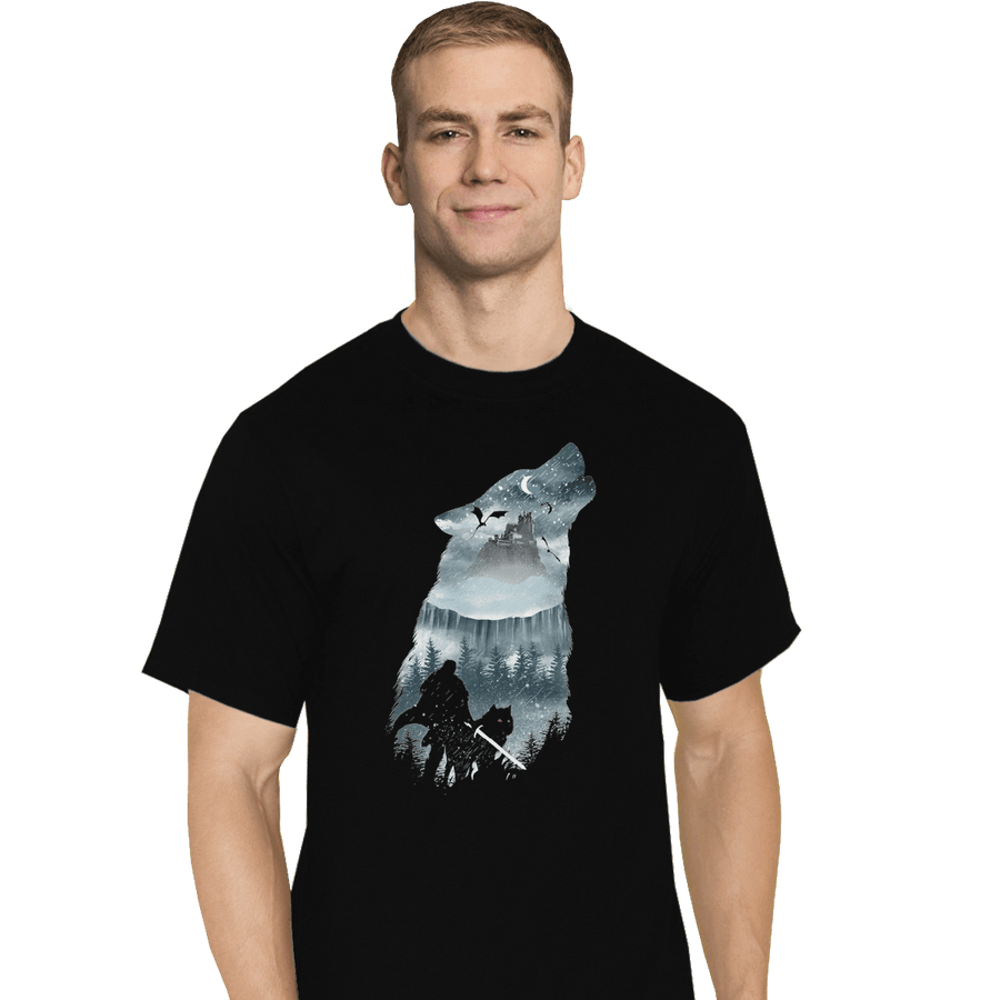 Shirts T-Shirts, Tall / Large / Black Winter Has Come