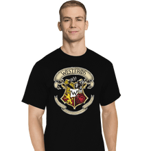 Load image into Gallery viewer, Shirts T-Shirts, Tall / Large / Black Westeros School
