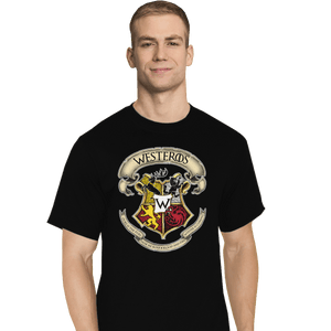 Shirts T-Shirts, Tall / Large / Black Westeros School