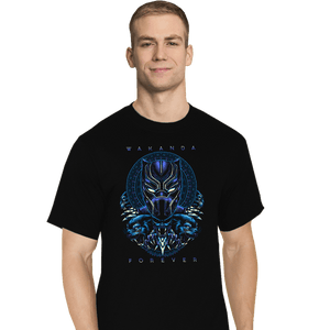 Daily_Deal_Shirts T-Shirts, Tall / Large / Black Wakanda Forever