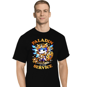 Daily_Deal_Shirts T-Shirts, Tall / Large / Black Paladin's Call