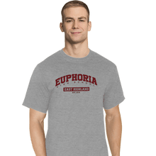 Load image into Gallery viewer, Secret_Shirts T-Shirts, Tall / Large / Sports Grey Euphoria High School

