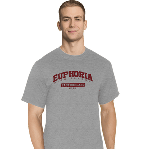 Secret_Shirts T-Shirts, Tall / Large / Sports Grey Euphoria High School