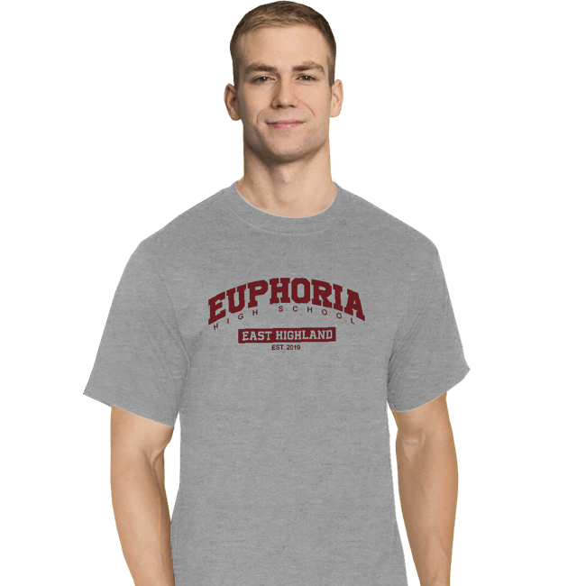 Secret_Shirts T-Shirts, Tall / Large / Sports Grey Euphoria High School