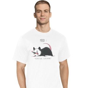 Shirts T-Shirts, Tall / Large / White Mood Possum