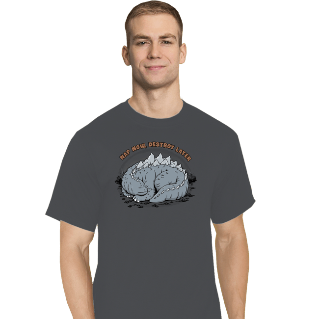 Daily_Deal_Shirts T-Shirts, Tall / Large / Charcoal Nap & Destroy