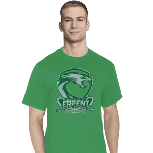 Shirts T-Shirts, Tall / Large / Athletic grey Slytherin Serpents