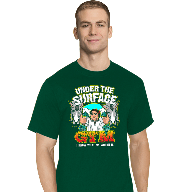 Shirts T-Shirts, Tall / Large / Charcoal Luisa's Gym (Green)