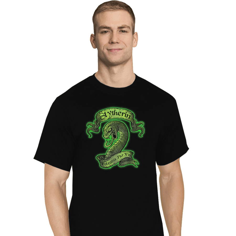 Shirts T-Shirts, Tall / Large / Black Slytherin