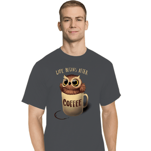 Shirts T-Shirts, Tall / Large / Charcoal Night Owl