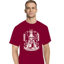 Load image into Gallery viewer, Secret_Shirts T-Shirts, Tall / Large / Red Freya Dragon Knight
