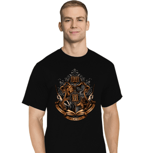 Daily_Deal_Shirts T-Shirts, Tall / Large / Black Home Of Magic And Greatness