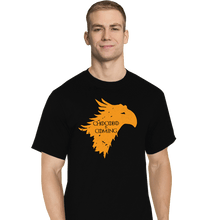 Load image into Gallery viewer, Shirts T-Shirts, Tall / Large / Black Chocobo Is Coming
