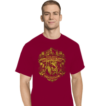 Load image into Gallery viewer, Sold_Out_Shirts T-Shirts, Tall / Large / Red Team Gryffindor
