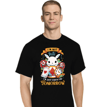 Load image into Gallery viewer, Secret_Shirts T-Shirts, Tall / Large / Black Wonderous Rabbit
