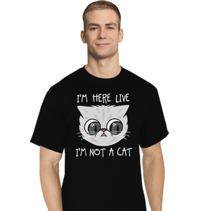 Secret_Shirts T-Shirts, Tall / Large / Black Not Cat