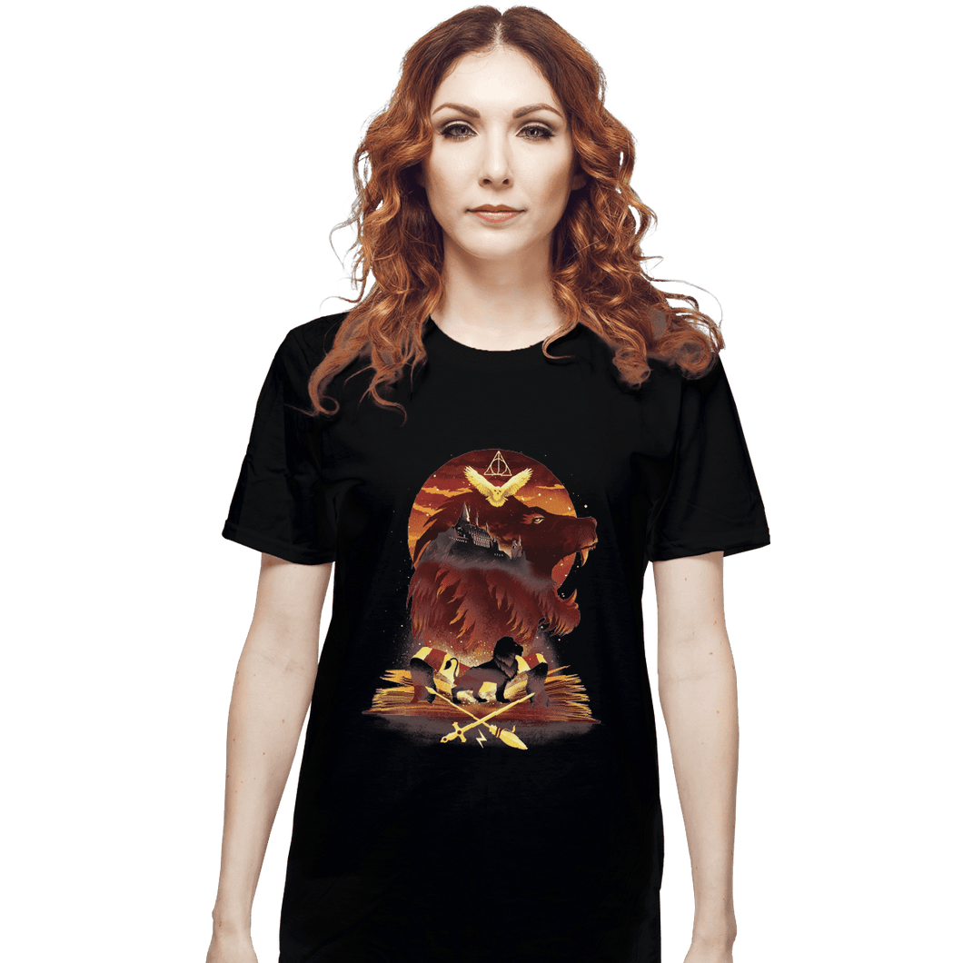 Shirts T-Shirts, Unisex / Small / Black House Of Gryffindor
