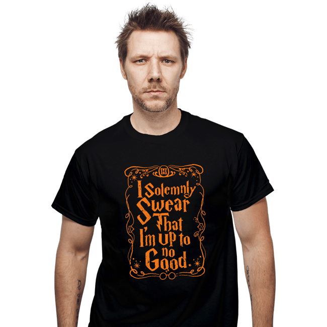 Secret_Shirts T-Shirts, Unisex / Small / Black Solemnly Swear