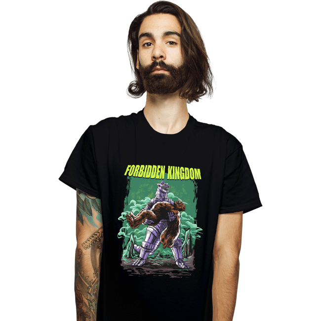 Secret_Shirts T-Shirts, Unisex / Small / Black Forbidden Kingdom
