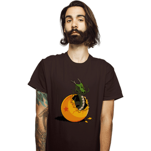 Shirts T-Shirts, Unisex / Small / Dark Chocolate Dragon Egg