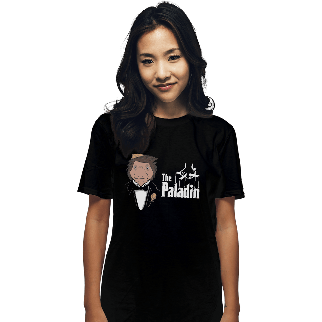 Shirts T-Shirts, Unisex / Small / Black The Paladin