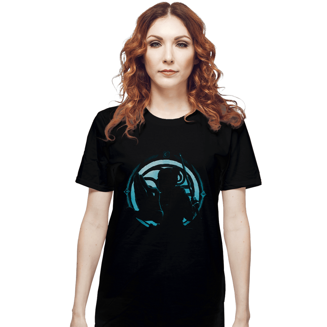 Secret_Shirts T-Shirts, Unisex / Small / Black Sword Master