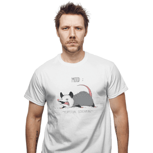 Secret_Shirts T-Shirts, Unisex / Small / White Mood Possum Secret Sale
