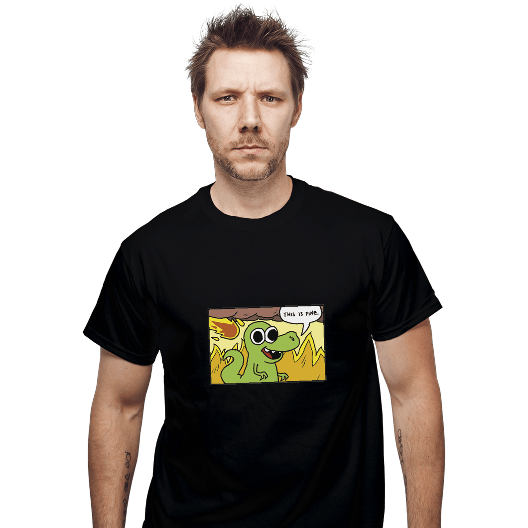Shirts T-Shirts, Unisex / Small / Black Dinoptimist