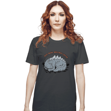 Daily_Deal_Shirts T-Shirts, Unisex / Small / Charcoal Nap & Destroy