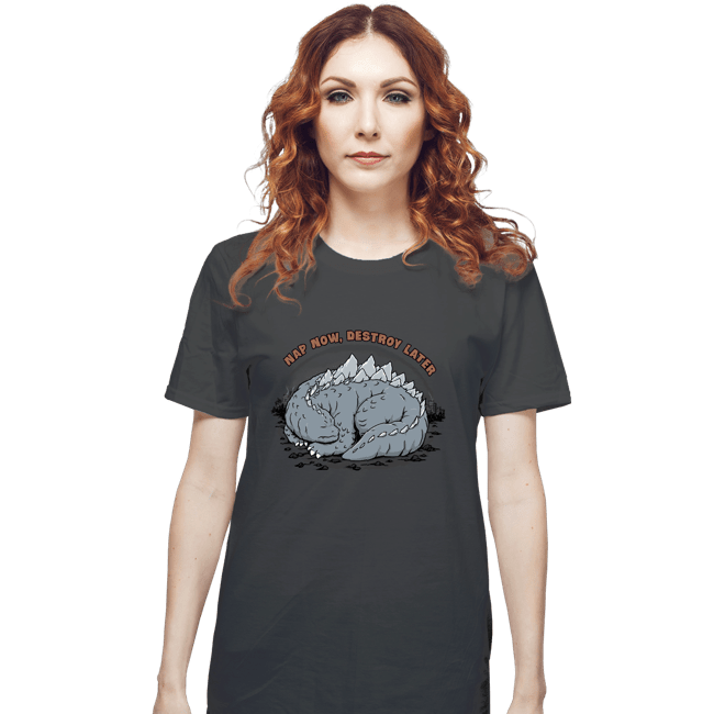 Daily_Deal_Shirts T-Shirts, Unisex / Small / Charcoal Nap & Destroy