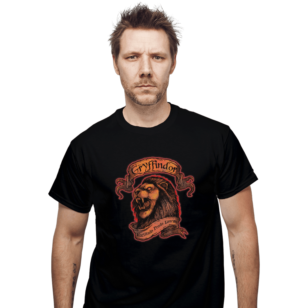 Shirts T-Shirts, Unisex / Small / Black Gryffindor