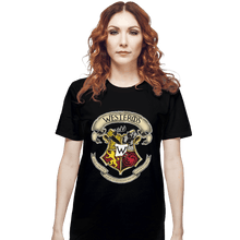 Load image into Gallery viewer, Shirts T-Shirts, Unisex / Small / Black Westeros School
